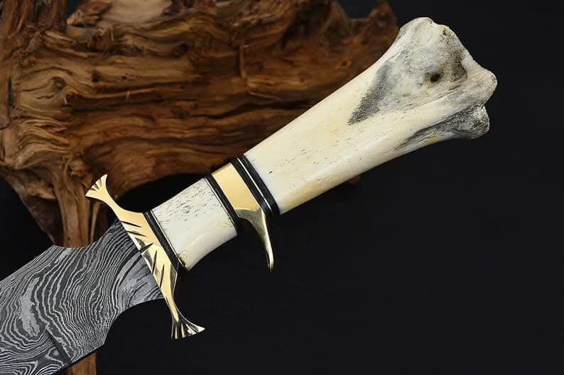 WhatsApp Image 2026-07-16 at 1.23.55 AM (1)